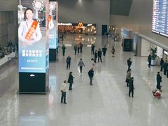 -青岛胶东国际机场