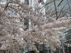 -维多利亚火车站