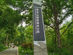 -青龙山国家森林公园