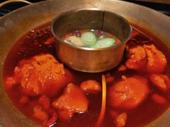 -杨家火锅(国美店)