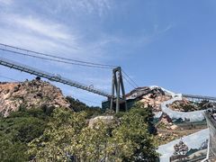 -西霞口神雕山野生动物世界