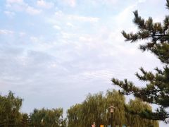 -莫子山公园