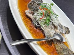 -骏莱海鲜鱼港(五角场店)