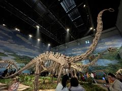 -自贡恐龙博物馆