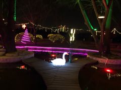 -枫花园汽车电影院(朝阳公园店)