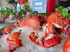 -济南凯宾斯基酒店-THE VIEW云景全日制餐厅