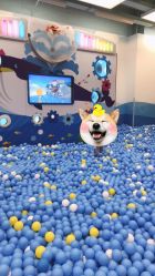 -莫莉幻想儿童乐园(郑州丹尼斯三天地店)