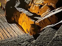 -萍乡武功山风景名胜区