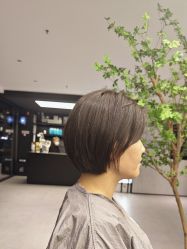 -付军剪艺JF ProSalon