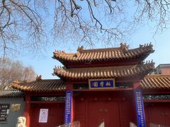 -桃花堤公园