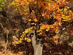 -北京西山国家森林公园