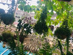 -自然餐厅(Phuket)