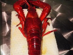 -五七小李子油焖大虾(总店)