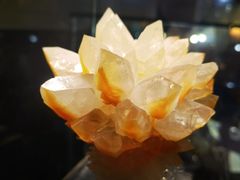 -中华赏石园