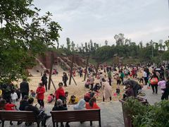 -枫香湖儿童公园