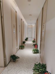 -北京博泽医疗美容门诊部