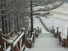 -驼梁风景区