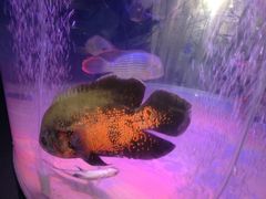 -欧亚达商业广场(红桥店)