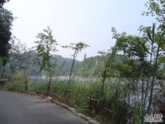 -千岛湖龙川湾