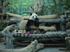 -灵玲国际马戏城