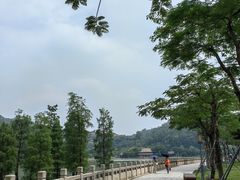 -顺峰山公园