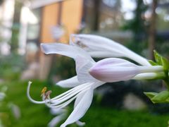 -往来·竹里.宝宝宴.生日宴.团建.宴席(花乡农居店)