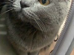 -申普宠物医院·眼科·心内科·影像科(普陀分院)