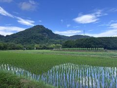 -八卦田遗址公园