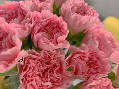 -循礼门鲜花花市(武汉循礼门店)