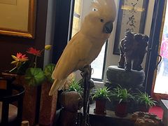 -大唐名家·息壤店