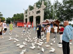 -天津妈祖文化园