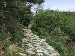 -终南山国家森林公园