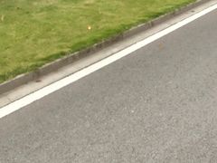 -暨阳湖生态园