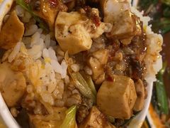 -陈麻婆豆腐总店