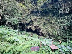 -海口火山口国家地质公园