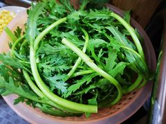 茼蒿-老殷锅仔