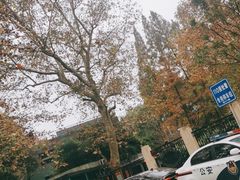 -徐家汇源景区-衡山公园