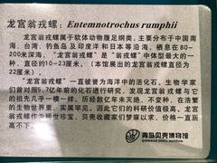-青岛贝壳博物馆