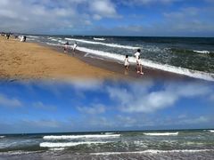 -巧克力渔家.小船海鲜胶东菜(万平口店)