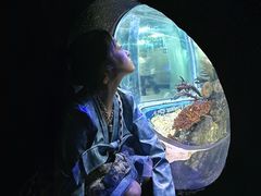 -成都浩海立方海洋公园