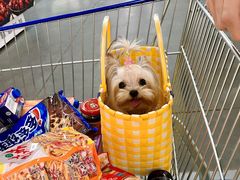 -麦德龙(郑东店)