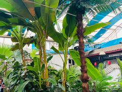 -漕河全驴宴饭店(徐水店)