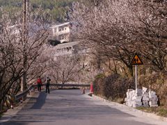 -四明山国家森林公园