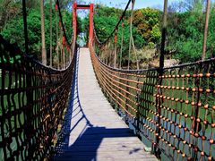 -上海吴淞炮台湾国家湿地公园