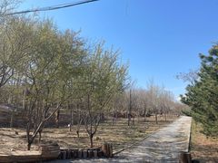 -云岗森林公园