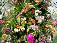-北京植物园-展览温室