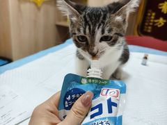-恒幸动物医院·急重症转诊中心·神经内外科·CT核磁