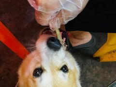 -亚一荔枝柴烧鸡(仙葫店)