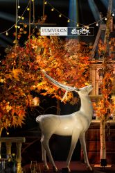 -中谷小南国花园酒店·宴会厅