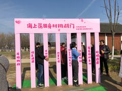 -杭州湾海上花田景区